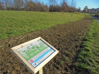 Sankt Augustin bewirbt sich um das Label „StadtGrün naturnah“ - Image