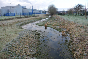 Hochwasserschutz: Tönisberg im Fokus - Image