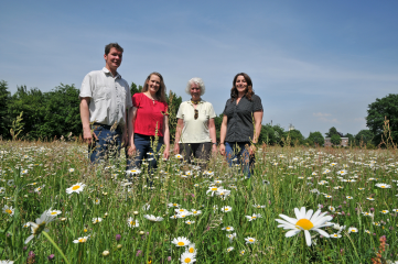 #Bocholt wirbt für mehr Wildblumen