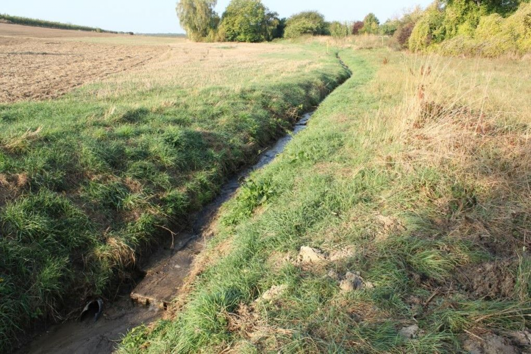 Gewässerentwicklung am Finther Aubach: