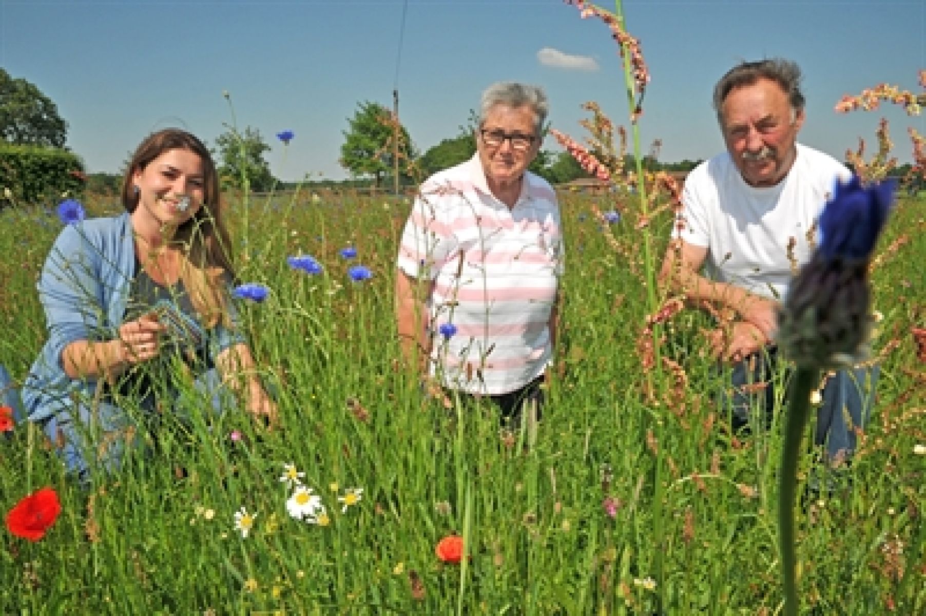 Umwelt: Das wilde Leben in Bocholt