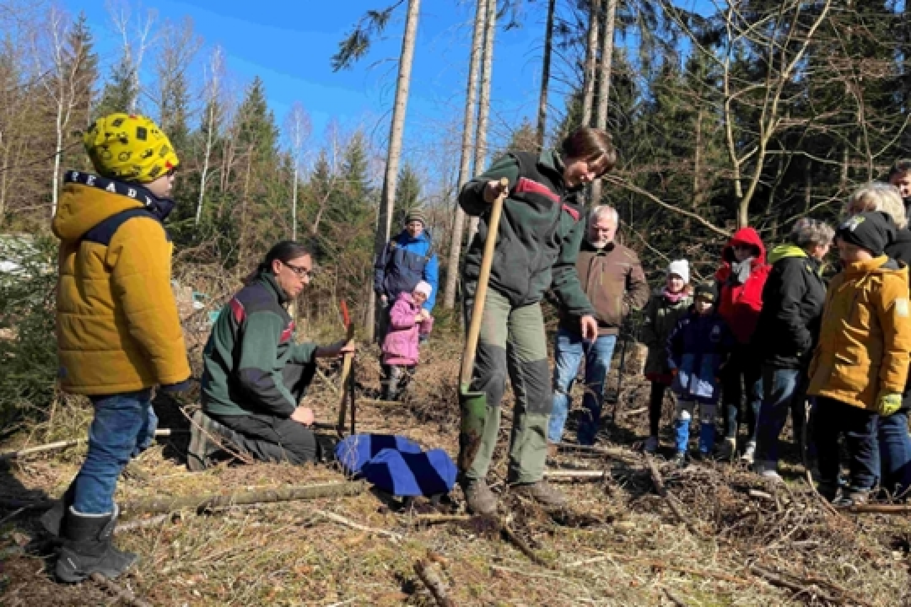 Gemeinsam für den Wald