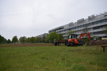 Für den Artenschutz in der Stadt werden Grünflächen umgestaltet