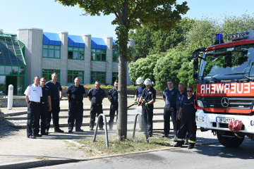 Bäume und Sträucher ächzen unter der Hitze - Image