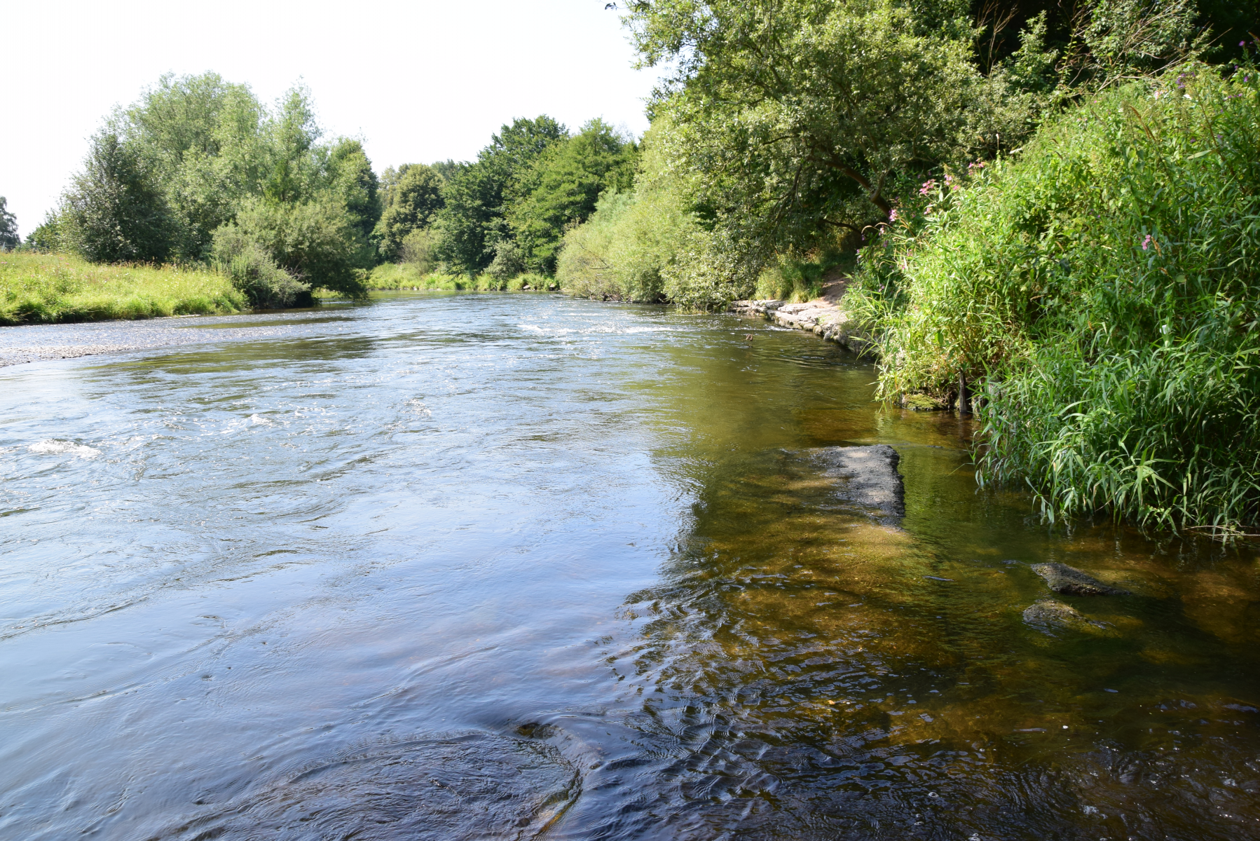 Wenig Wasser in kleinen Bächen