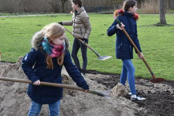 Schüler pflanzen Eiben und legen Wildblumenwiese an - Image