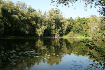 Natura 2000-Managementplan für das FFH-Gebiet - Image