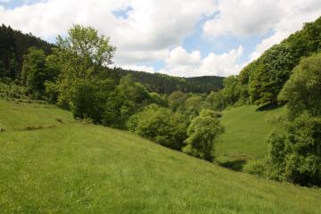 Regierungspräsidium Karlsruhe weist das neue Naturschutzgebiet „Brombacher Tal“ im Rhein-Neckar-Kreis aus - Image