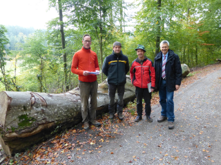 TÜV Rheinland bescheinigt nachhaltige und pflegliche Waldbewirtschaftung im Gemeindewald Gechingen - Image