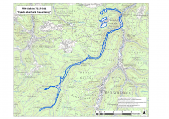 Entwurf des Natura 2000-Managementplans für das FFH-Gebiet „Eyach oberhalb Neuenbürg“ liegt vor