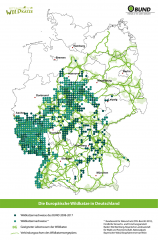 Die Projektoren / BUND