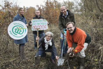 Bäume pflanzen gegen den Klimawandel - Image