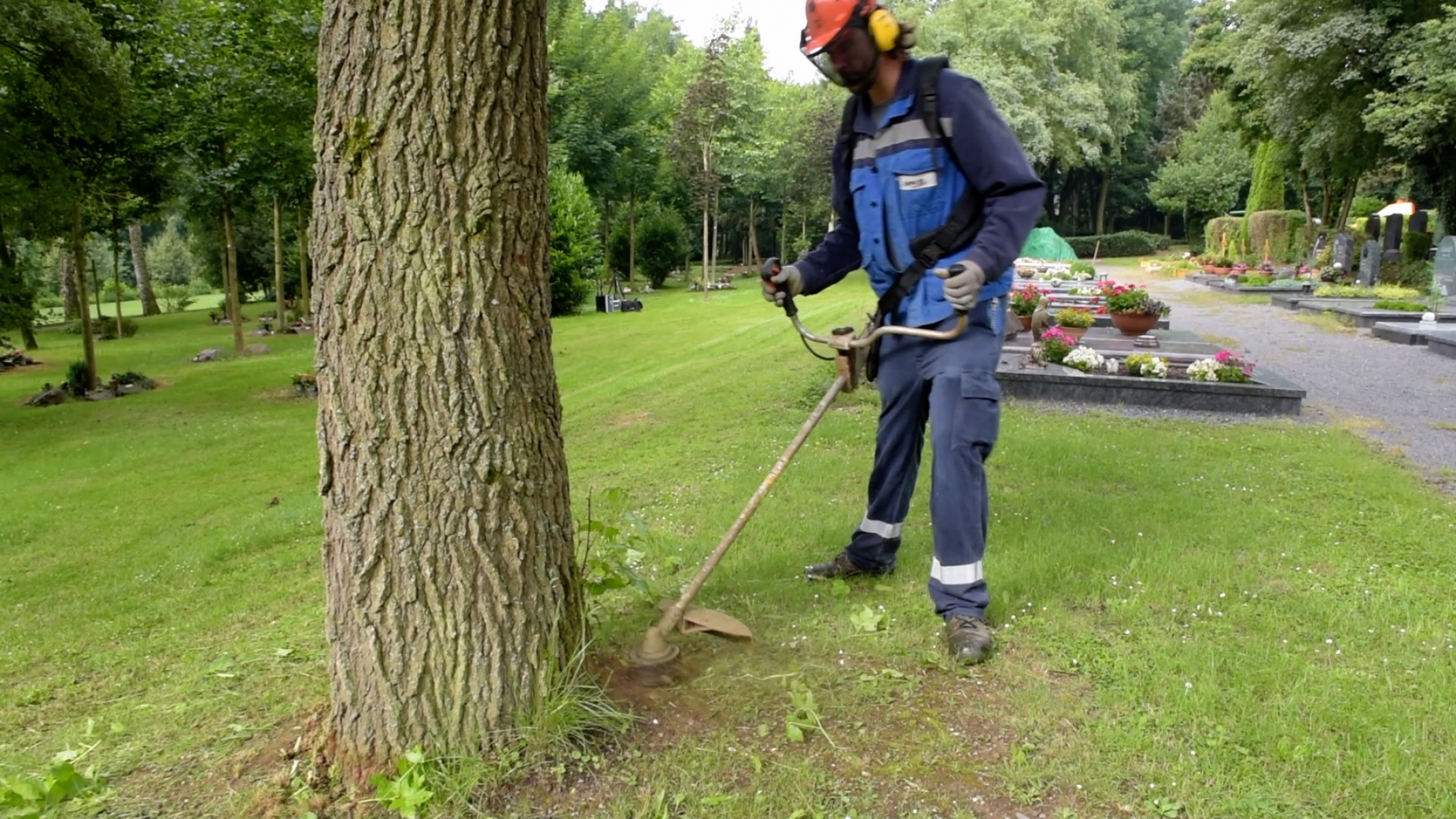 Berufsgenossenschaft Gibt Sbn Bestnoten Fur Die Arbeitssicherheit