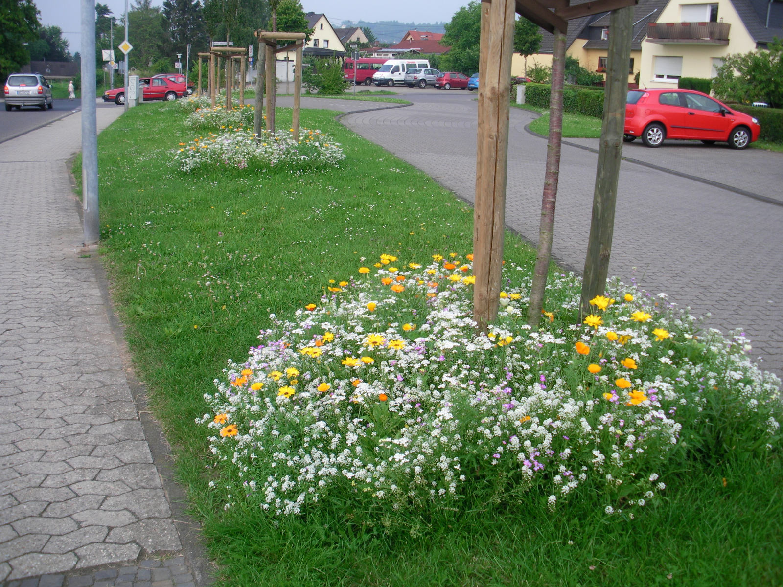 Bunt hat mehr Farbe als grün