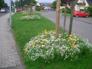 Bunt hat mehr Farbe als grün - Image