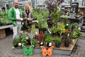 Umweltzentrum und Gartenmarkt Löwer werben für schmetterlingsfreundliche Pflanzen - Image