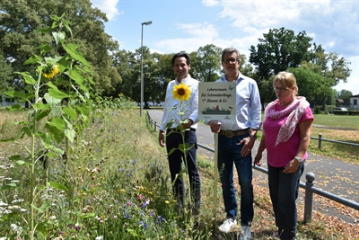 Rund 4000 Quadratmeter Blühwiesen sichern im Stadtgebiet Hanau den Lebensraum von Pflanzen und Tieren - Image