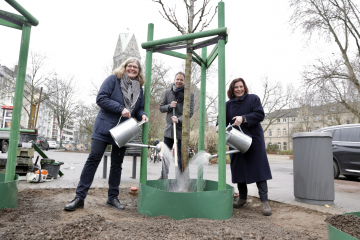 Das Stadtbaumkonzept geht in die dritte Pflanzsaison - Image