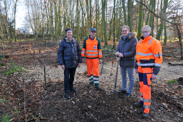 140 neue Bäume in Bocholt gepflanzt - Image