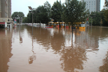 Die überflutete St. Petersburger Straße in Dresden   © Peter Bernhardt