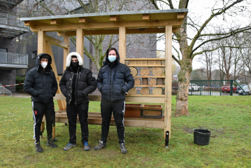 Baumpflanzung für Insektenhotel