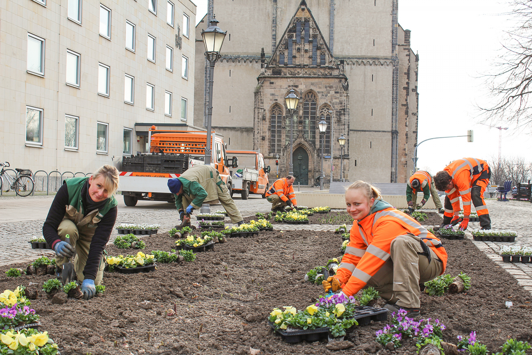 Magdeburg blüht auf: Start für Frühjahrsbepflanzung