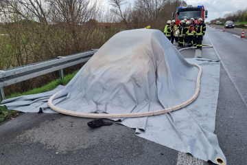 Freiwillige Feuerwehr der Stadt Goch