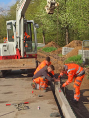 Blühende Rastanlagen: Auszubildende des Straßenbauamtes engagieren sich für Artenschutz - Image