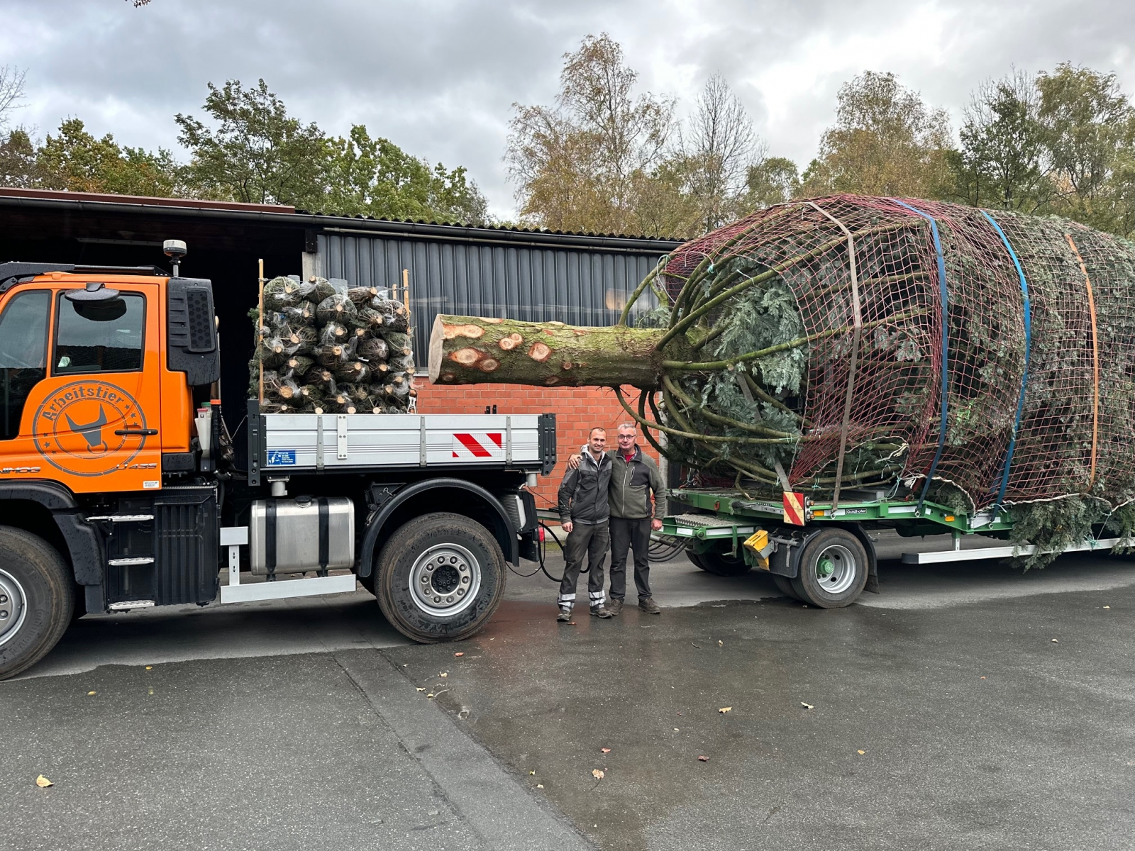 Unimog bringt Weihnachtsbaum von Paderborn nach Berlin