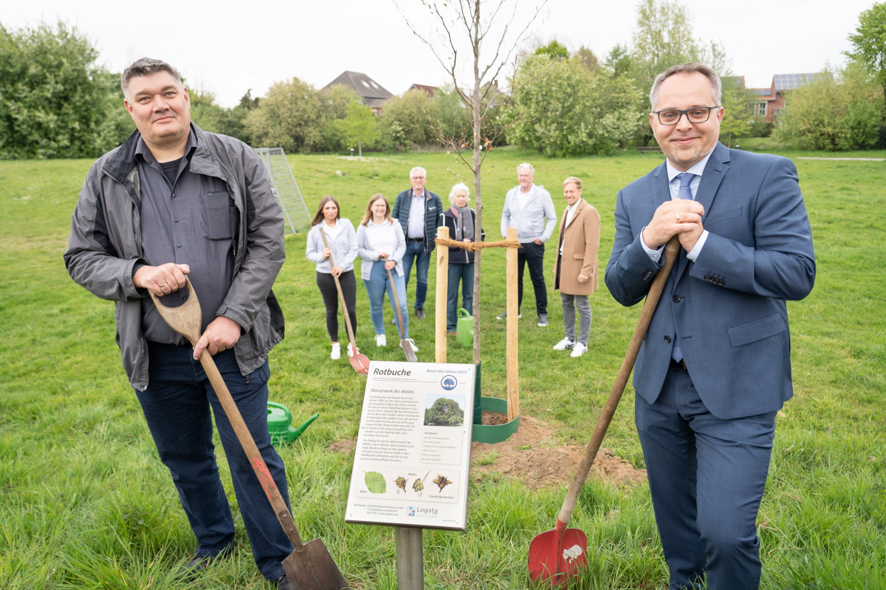 Die Rotbuche ist der „Baum des Jahres 2022“