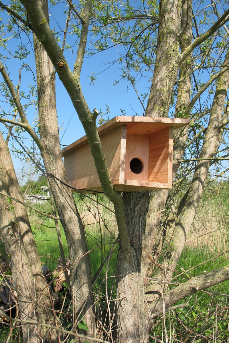 Vogelschutz in HaLiMa: Nistkästen an der Lippe sollen Artenvielfalt stärken