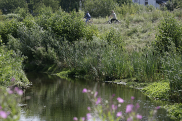 Fluss und Landschaft fit machen gegen den Klimawandel - Image