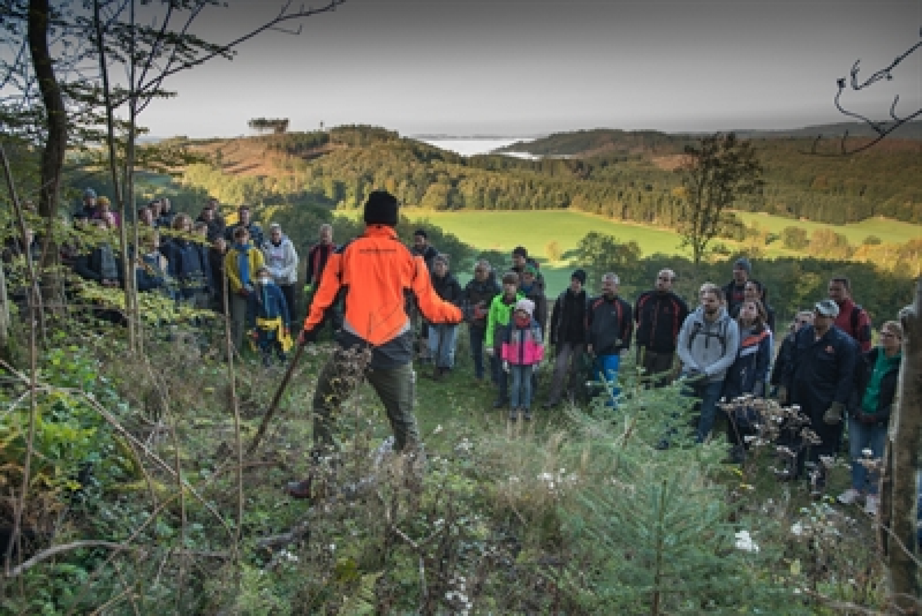 Neue Wälder entstehen im Märkischen Kreis