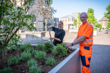 Neue Pflanzkübel bringen mehr Grün in die Innenstadt - Image