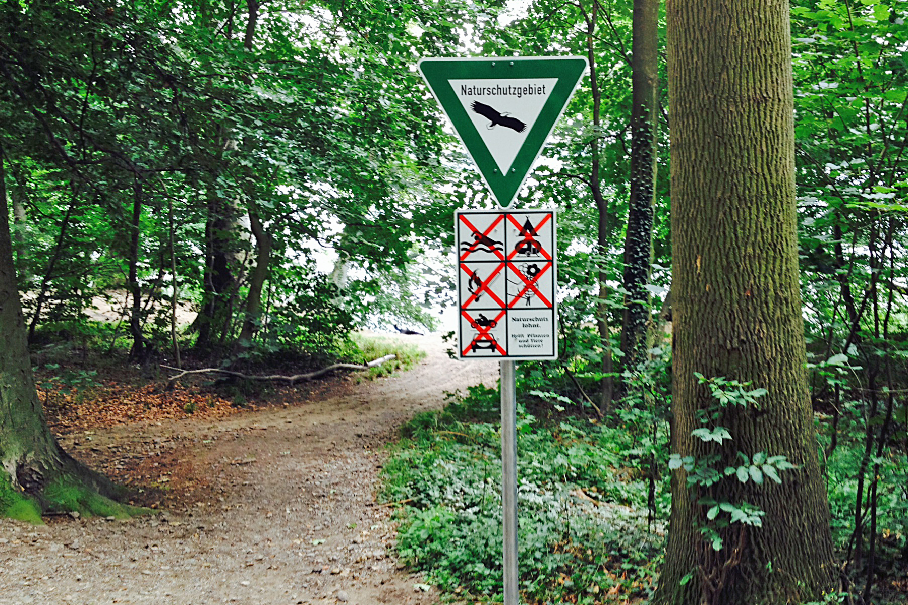 Auch in der Freizeit Naturschutz am Laacher See beachten