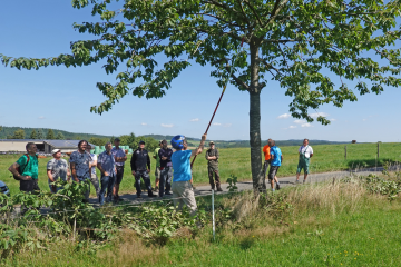 Referent Christopher Kiesslich erläutert den kommunalen Mitarbeitern den richtigen Schnitt von Straßenbäumen. Foto: Kreisverwaltung