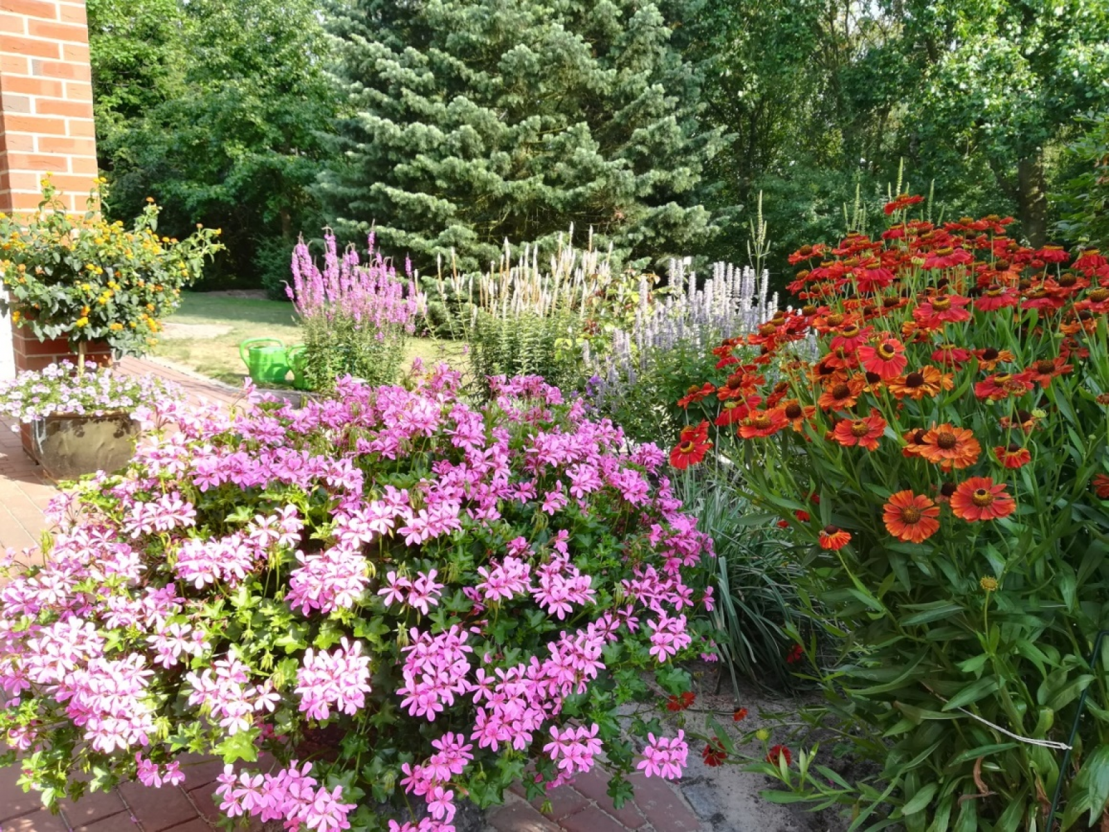 Artenvielfalt im Garten fördern