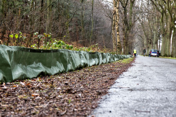 Der Krötenschutzzaun an der Zufahrtstraße Nordhorn-Range.