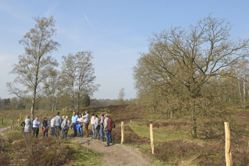 Umsetzung des Besucherlenkungskonzeptes im Naturschutzgebiet Tillenberge - Image