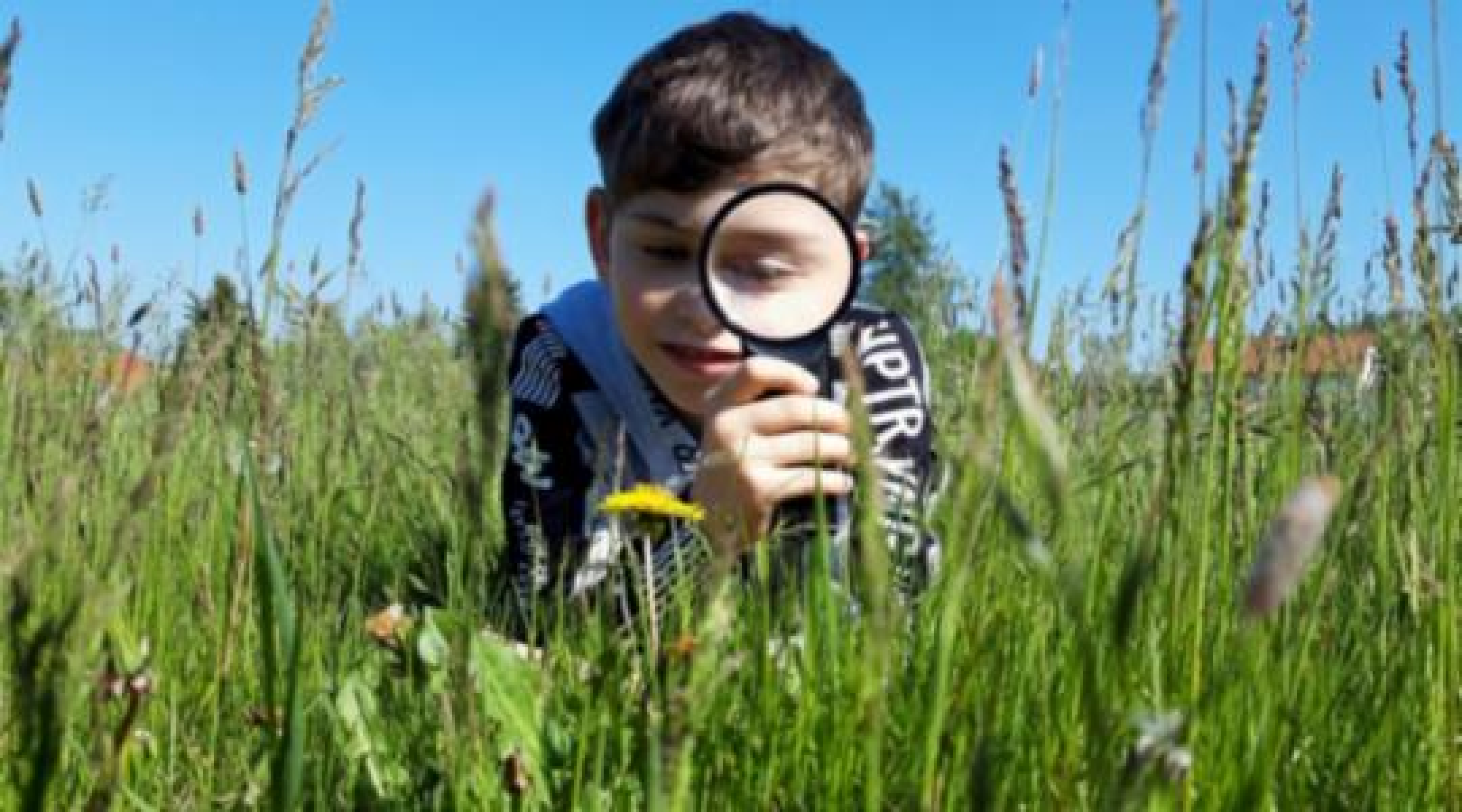 Lernen in und mit der Natur