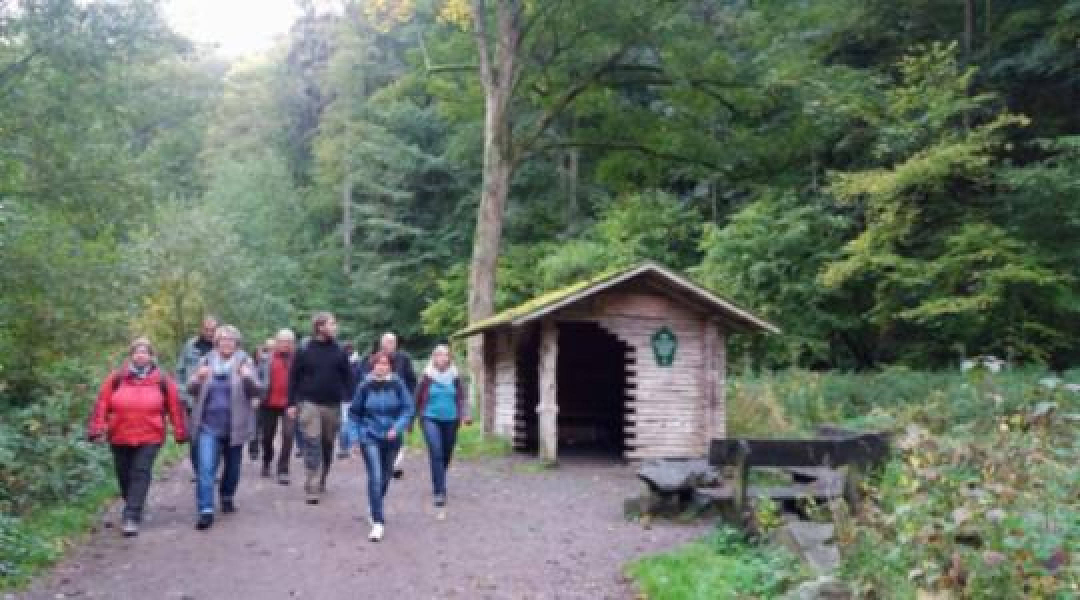 Umfrage: Die Sachsen wollen den Wald erhalten und unterstützen den Waldumbau