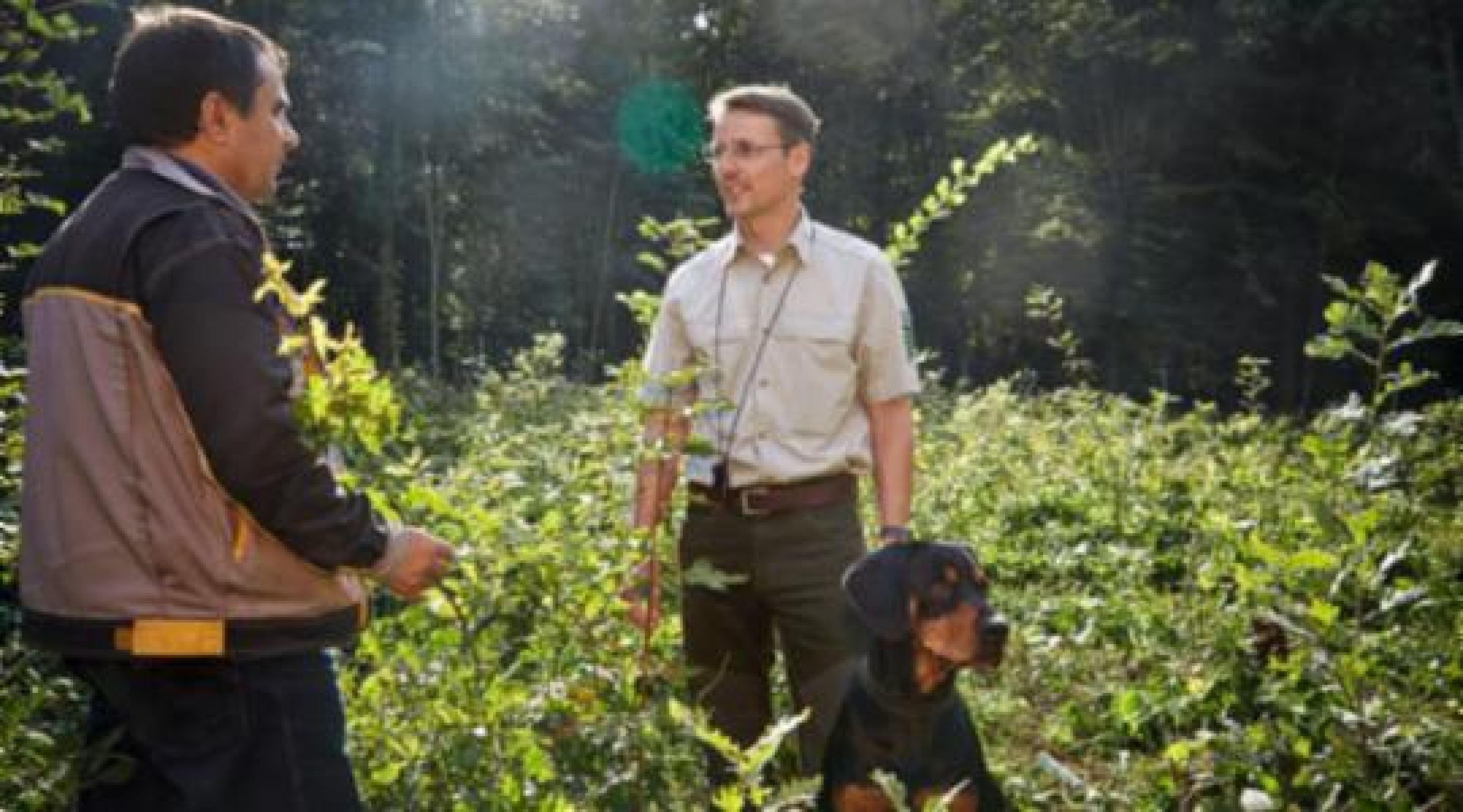 Weitere Hilfen für den sächsischen Wald