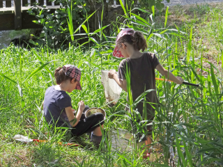 Natur- und Umwelterlebnisse für Kita-Kinder - Image