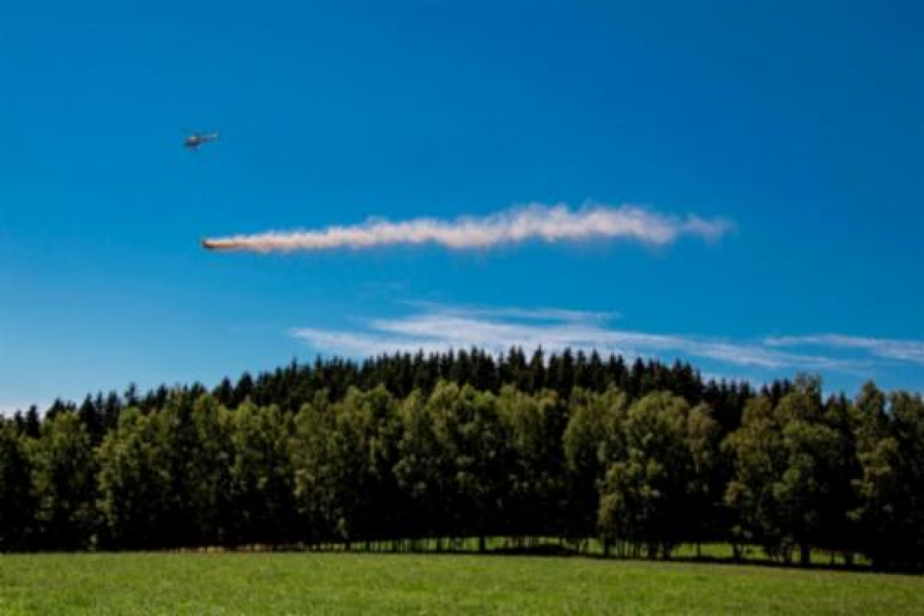 Für einen gesunden Waldboden: Hubschrauber kreisen über sächsischen Wäldern