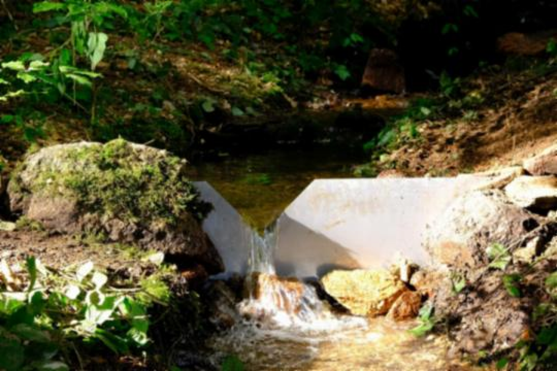 Forschung für sauberes Wasser