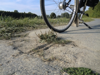 Kreis Soest schon ein Fahrradparadies? - Image