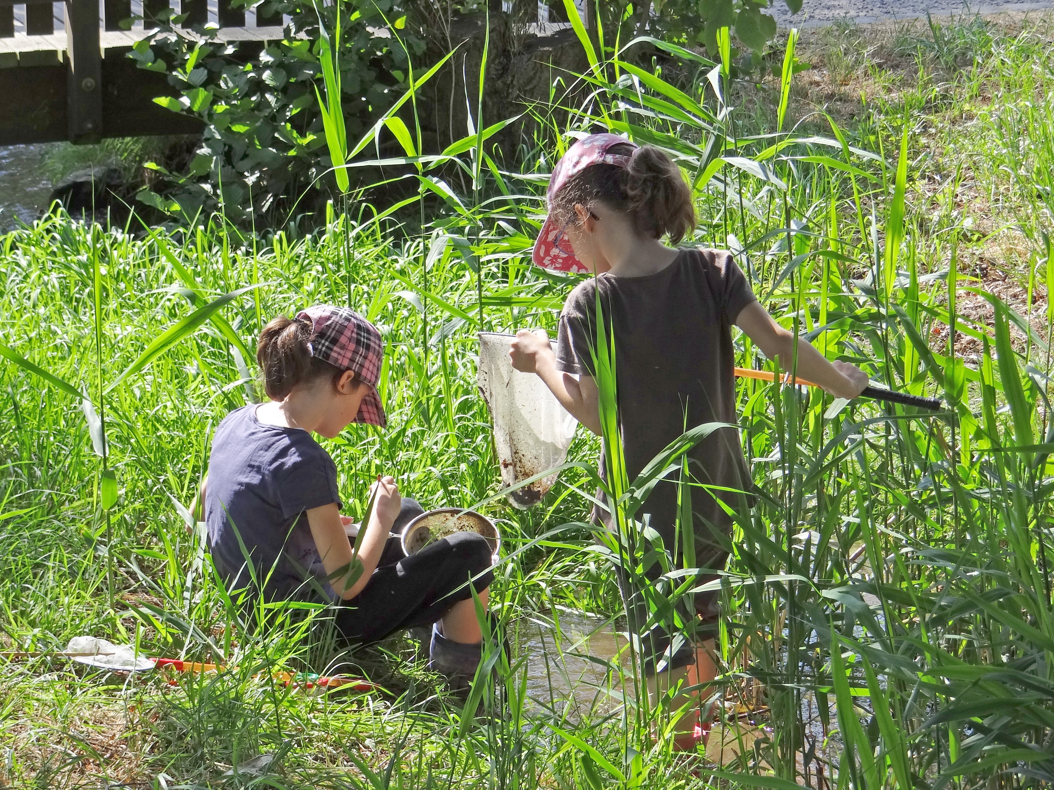 Natur- und Umwelterlebnisse für Kita-Kinder