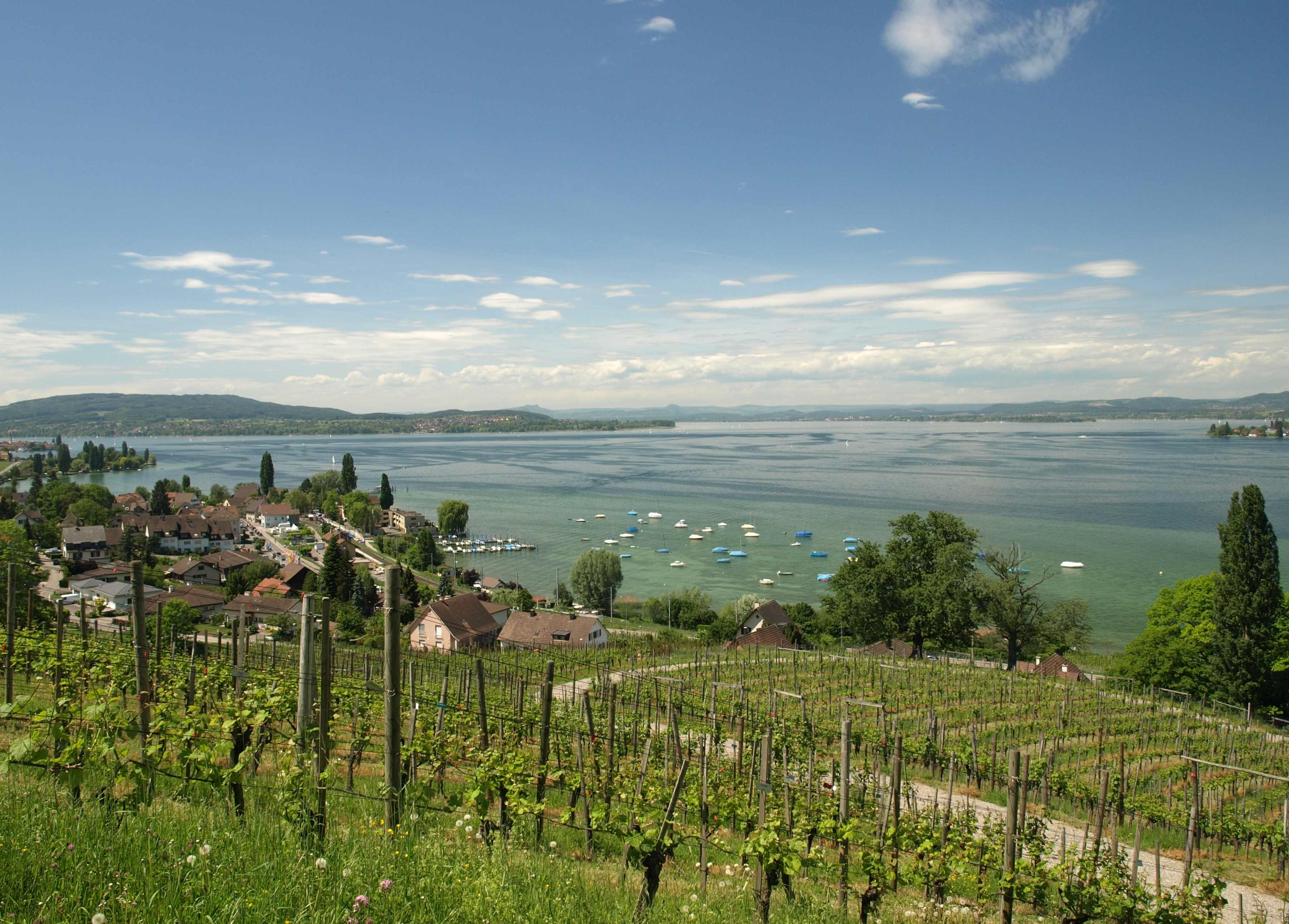 Bodensee