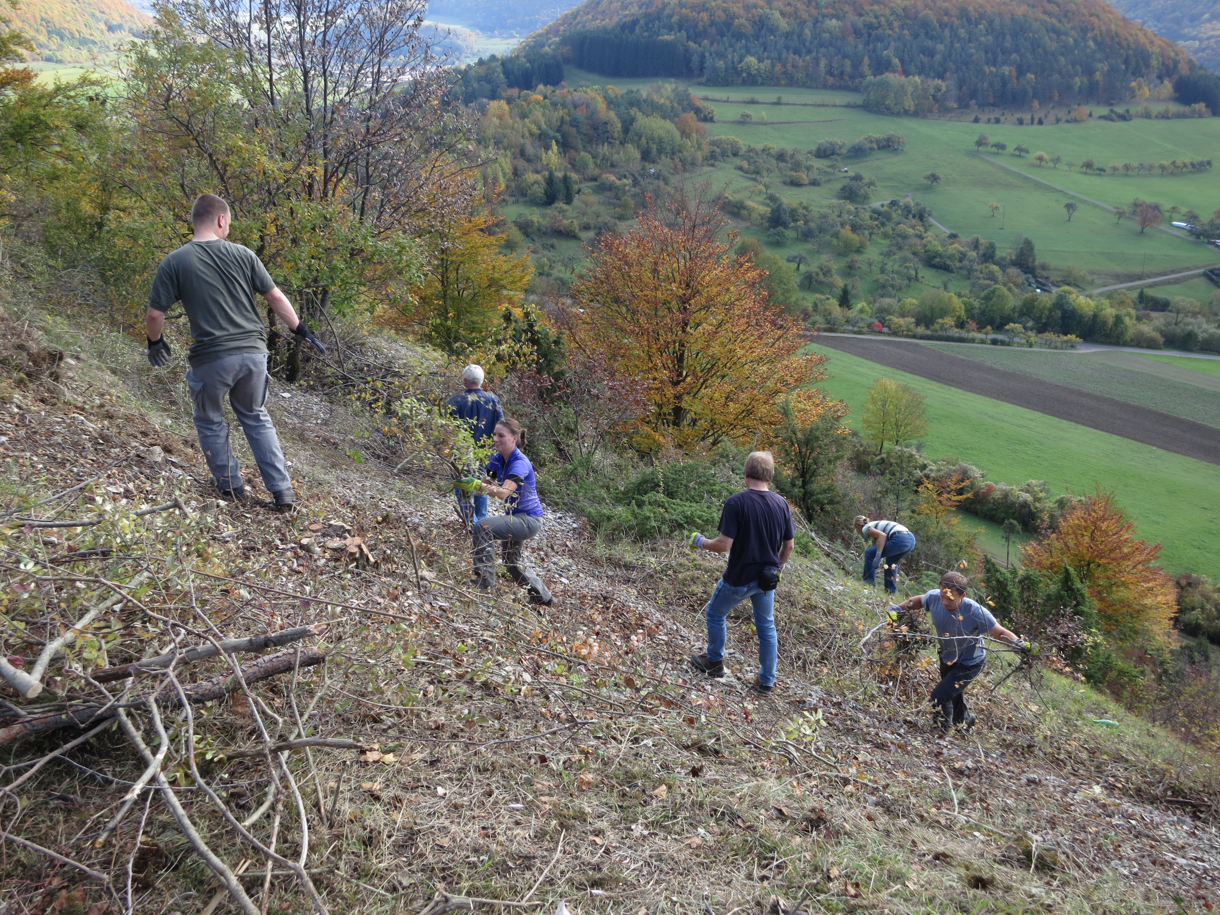 Landschaftspflege im Naturschutzgebiet 