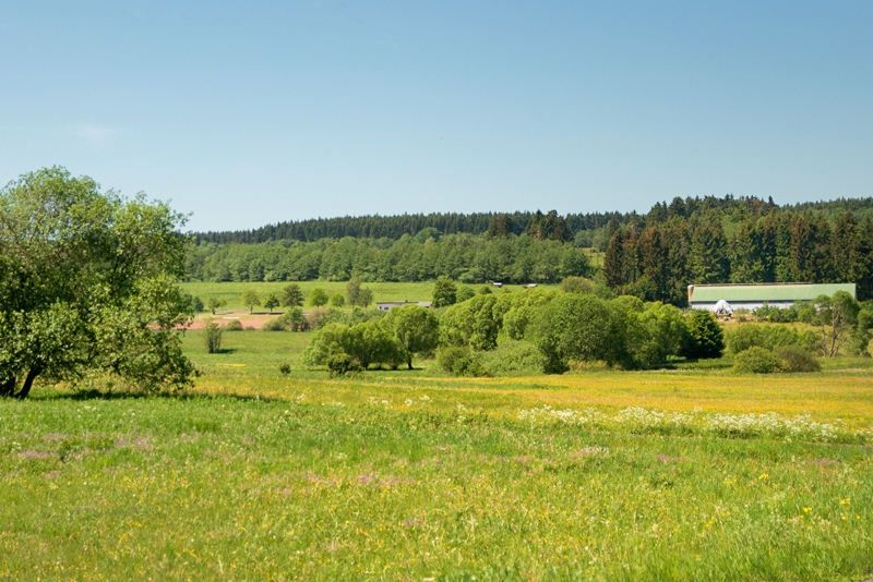 Vogelschutzgebiet bei Burbach und Neunkirchen